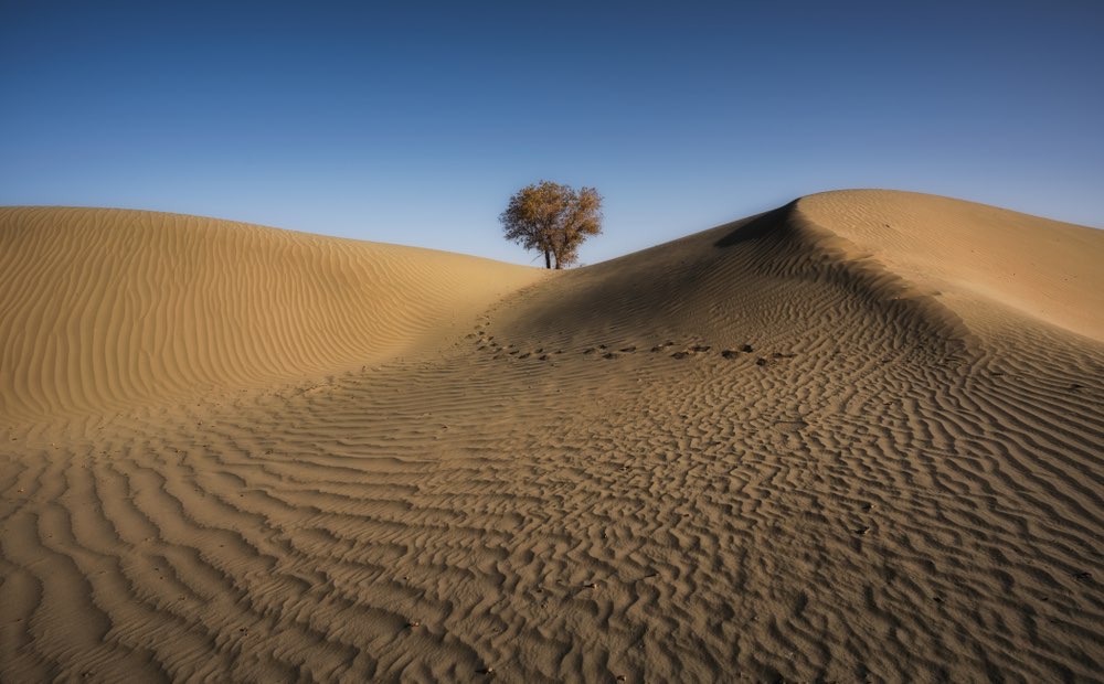 Woestijn in de hitte